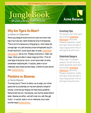 Descargar Email Template. Plantilla. Descargar Email Marketing Template